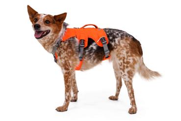 Ruffwear Web Master Harness Blaze Orange Gr. L/XL